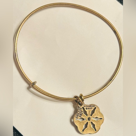 Alex and Ani “Endless Knot” Bronzetone Charm Bracelet - Picture 3 of 4